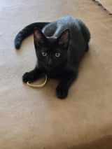 Customer photo from this review